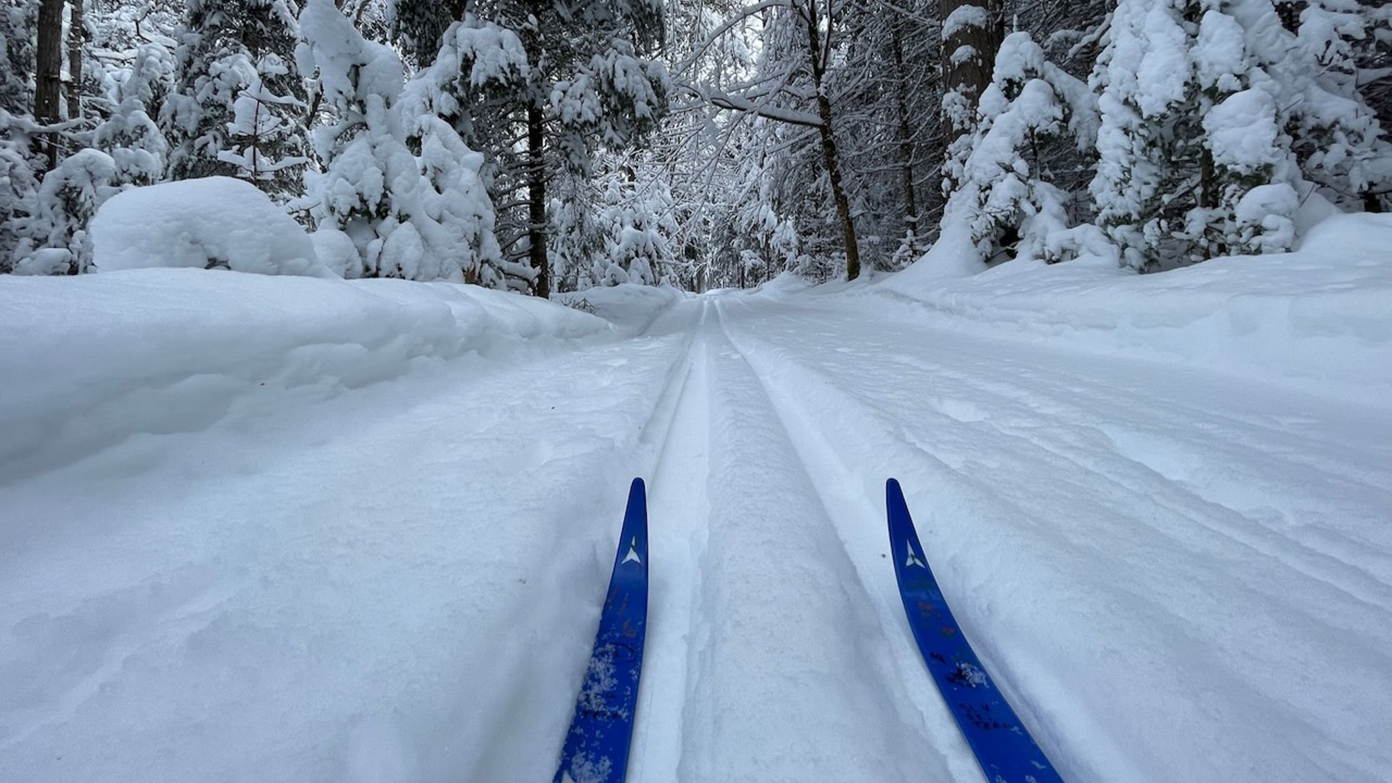 skis on snow